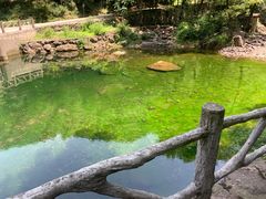 -白云源风景区