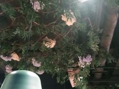 -義気满满(义气2号店)