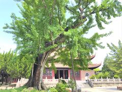 -苏州文庙(姑苏区)