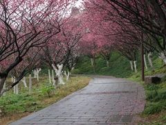 -万县面馆(高笋塘店)