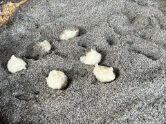 -清漾毛氏文化村