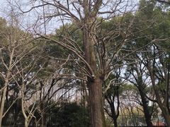 -上海方塔园