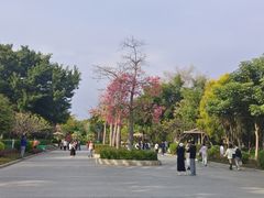 -厦门园林博览苑