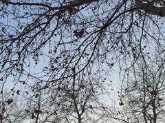 -杨家埠民间艺术大观园