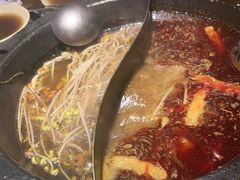 -蜀大侠火锅(总府路店)