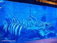 -波塞冬旅游度假区