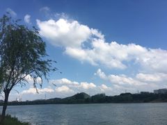 -羊山湖公园