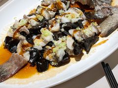 石锅古法蒸老虎斑-利苑酒家(华熙国际店)