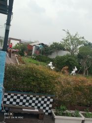 -小蜜蜂农场(凯德七宝购物广场店)