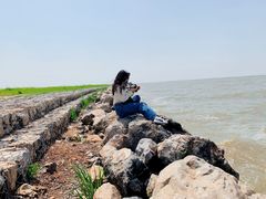 -合肥滨湖国家森林公园