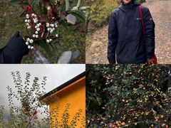 -孟屯河谷景区