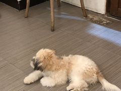 -白熊咖啡(闽江大道店)