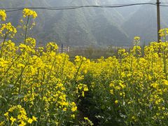 -汉长安城未央宫国家考古遗址公园