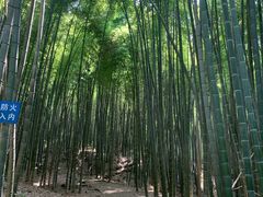 -石塘人家