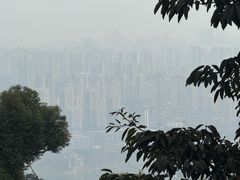 -林中乐辣子鸡(歌乐山总店)