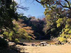 -苹果花园(桂林路店)
