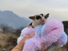 -北京上方山国家森林公园