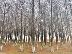 -苏州吴中太湖旅游区