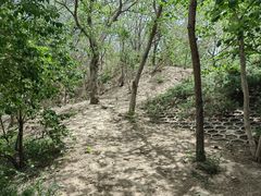 -元大都城垣遗址公园