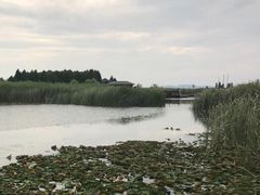 -太湖湖滨国家湿地公园-停车场