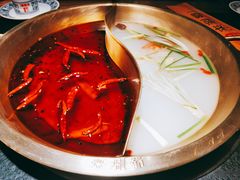 -来涮蜀鲜货火锅串串香(菜市口店)