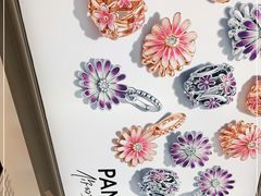 -Pandora潘多拉珠宝(朝阳大悦城店)