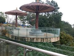 -铁山坪森林公园