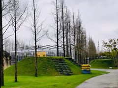 -前小桔亲子创意农场·草莓采摘·露营烧烤