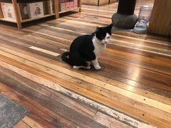 -猫的天空之城概念书店(杭州南宋御街店)