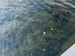 -德全心悦酒店(北京金台路地铁站店)