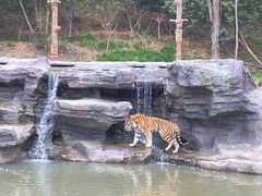 -宁波野生动物园