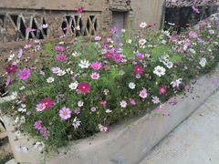 -叶挺将军纪念园