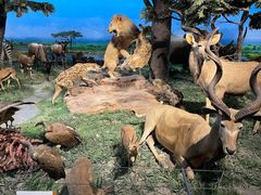 -国家自然博物馆