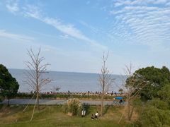 -上海滨江森林公园