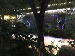 -靓靓蒸虾(中山里店)