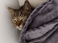 -CMC大光明影城(莲花店)