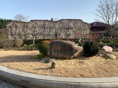 -嘉定紫藤园
