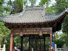 -汇龙潭