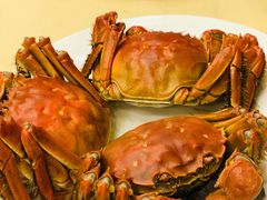 -王宝和酒家(黄浦店)