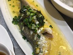 -老绍兴养和饭店(向阳不夜城店)