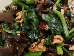 -金贝儿月嫂(高新尚品国际店)