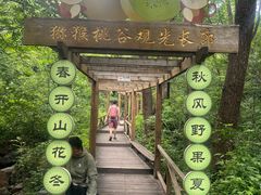 -大岭沟猕猴桃谷风景区