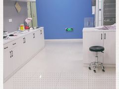 -福州肆爪动物医院