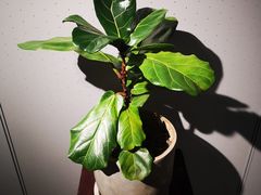 -徐汇艺术馆