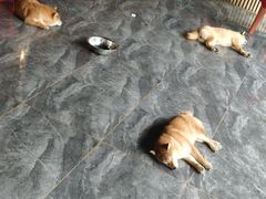 -宝龙广场(蓬莱区)