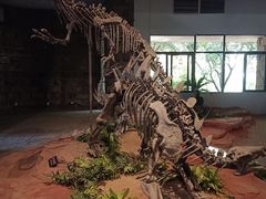 -自贡恐龙博物馆