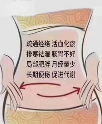 -香薇妮丝女子减肥院