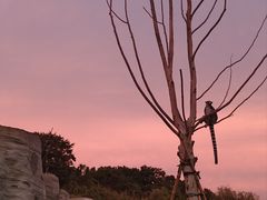 -杭州野生动物世界