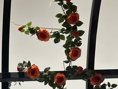 -西堤牛排(南京龙江店)