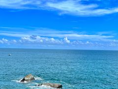 -广东惠东海龟国家级自然保护区